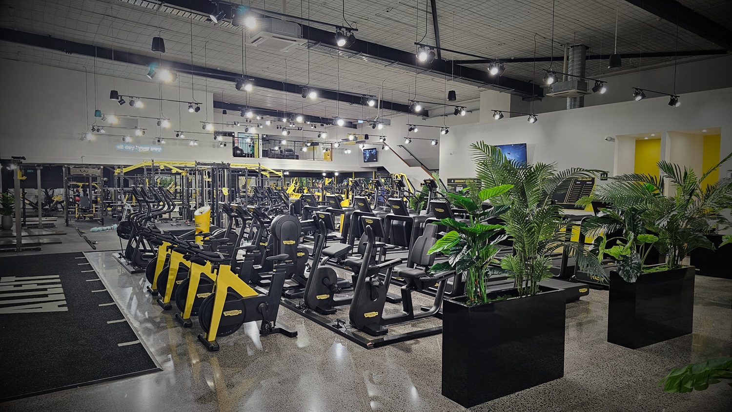 ALLFIT Constellation Drive 24/7 Gym North Shore 12.95 pw